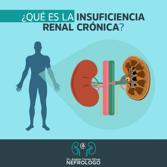 Insuficiencia Renal Crónica